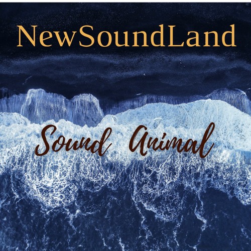 NewSoundLand