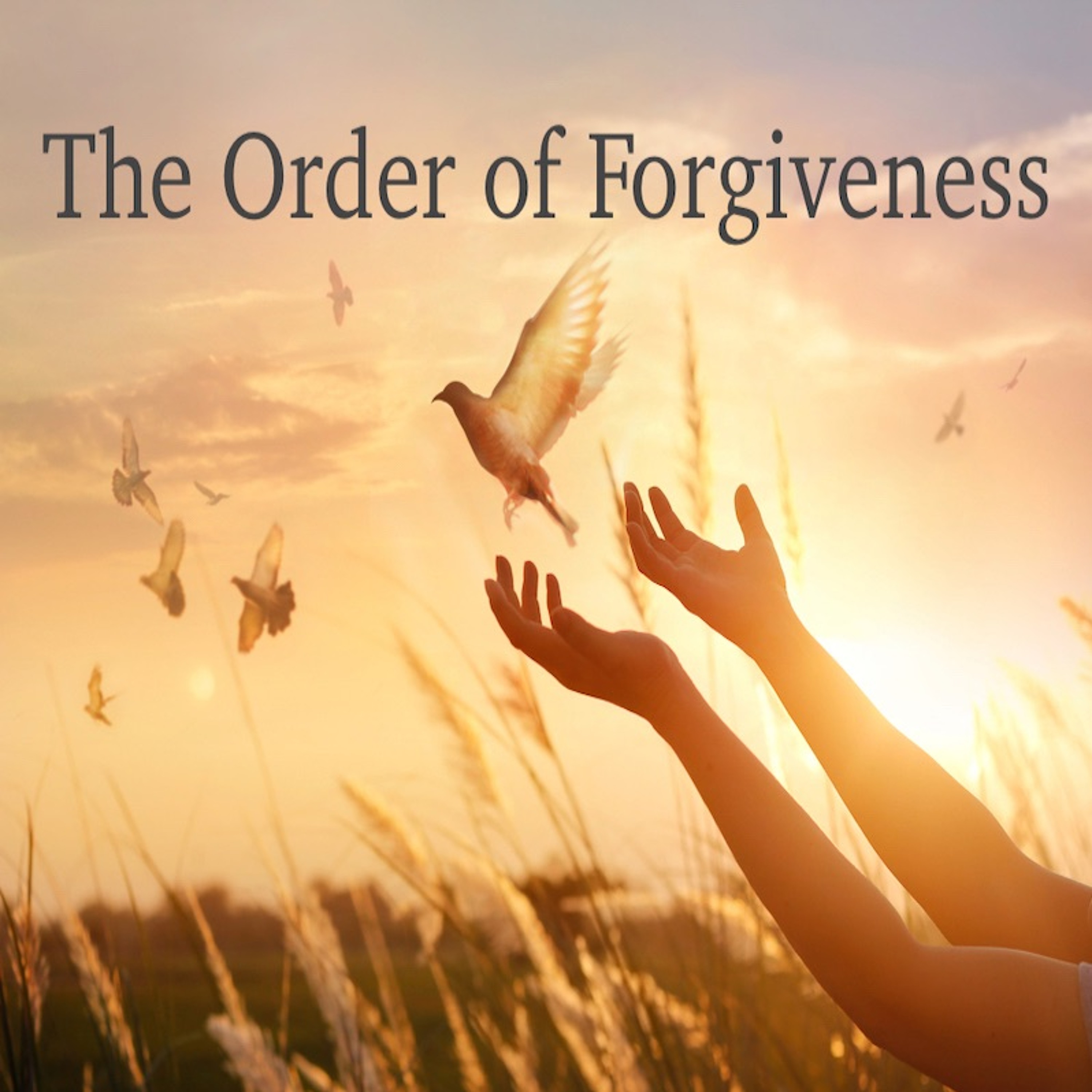 "The Order of Forgiveness" - Bob Holloway episode artwork