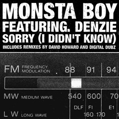 Monsta Boy - Sorry! (I Didn't Know) (David Howard Remix)