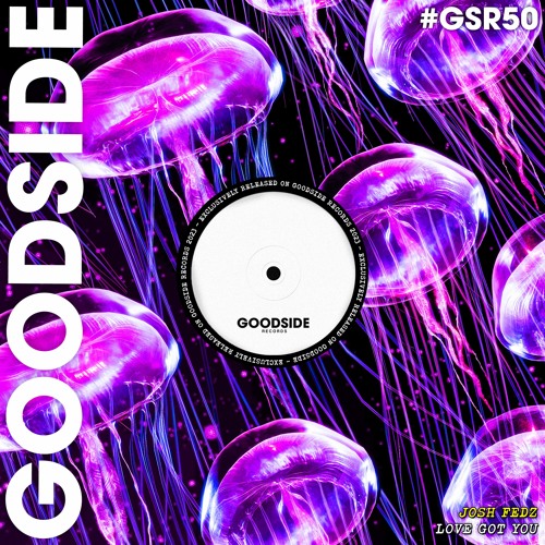 Josh Fedz - Love Got You [GOODSIDE]