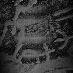 Bergsonist 041025