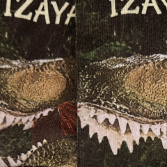 izaya tiji - coward
