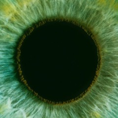 These Eyes (Prod. In Bloom)