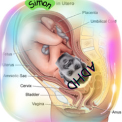 Simon needs attention / Jacqueline birthed you (bonustrack)