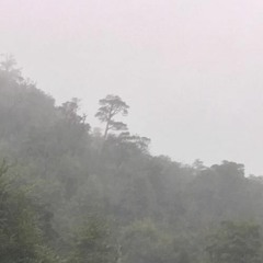 elDubArnAgn