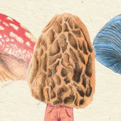 Plus Ones w/ CJ, Raoul Edwards & Vandeleur - 18.12.20