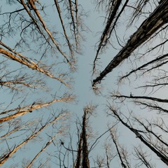 Pausas Para Inspirar - Jesus quer ficar em tua casa