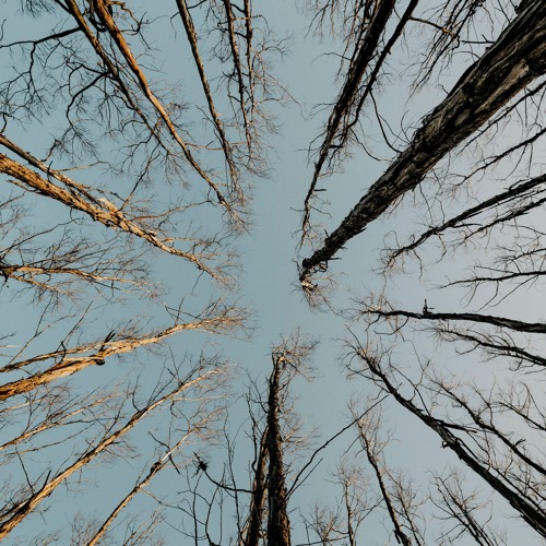 Pausas Para Inspirar - Jesus quer ficar em tua casa