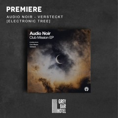 Premiere: Audio Noir - Versteckt [Electronic Tree]