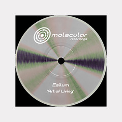#035 PREMIERE: Esilum - Maintain Stability (Original Mix) [Molecular Recordings]
