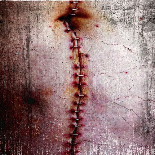 MROOK - XIII (Free Download)