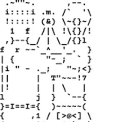 StingRay and Shorti (remastered)