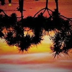 ZRW - Samperu Short Trees Forest - LST#11