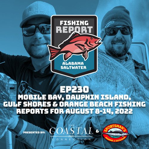 Mobile Bay, Dauphin Island, Gulf Shores, Orange Beach Fishing Reports for August 8-14 2022