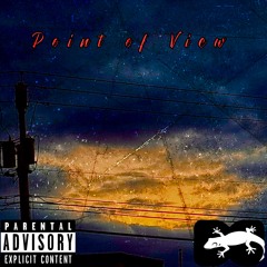 Point of View