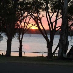 Gaza's morning coffee