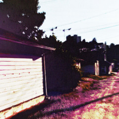 your flowers have wilted