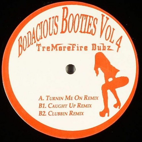 Stream Nina Sky Turnin' Me On (TreMoreFire Dubz Remix) by Bassline