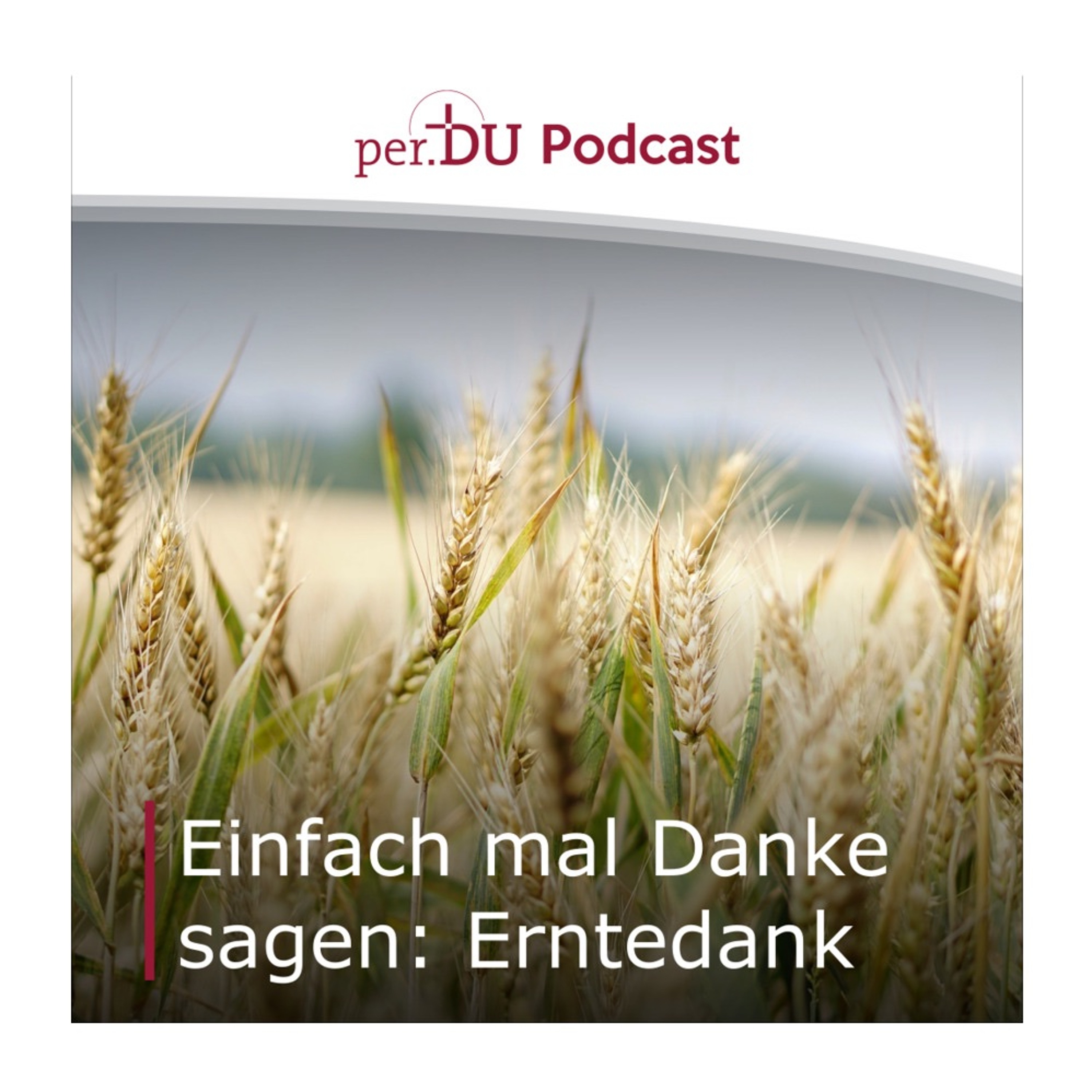 per.DU Podcast