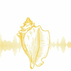 Harriet et Olivier : Cette Histoire non racontée (LeursNosVos #3 podcast vidéo)