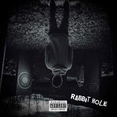 Rabbit Hole [prod. Havoc]