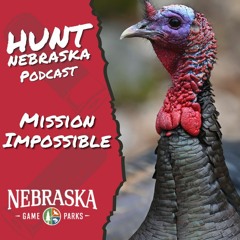 Mission Turkey - Impossible?