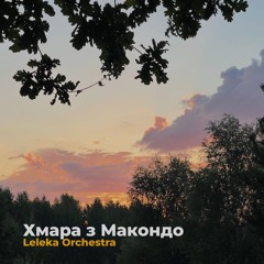 Лелеки-літаки