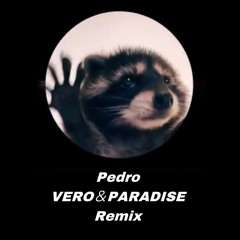 VERO & PARADISE - Pedro (Remix)