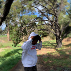 Mashi fi shari3 || ماشي في شارع