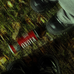 кисы-котики 2