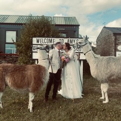 The Neil’s Wedding Classics Mix
