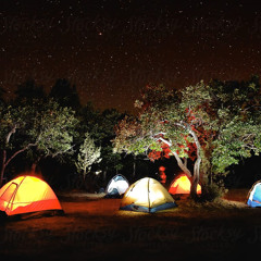 Maar Bandzzz x Bandmanrill - Rollin’