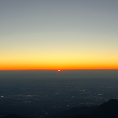 tiramisu (freestyle)