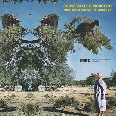 SOUSS VALLEY, MOROCCO: HIVE MIND CASSETTE ARCHIVE (RIAFC143)