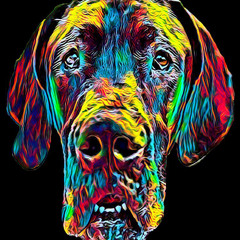 BIG DAWG (Prod. by DMac & Andyr)