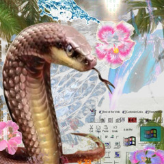 Sharp Contact (prod yxngkenay + bestq)