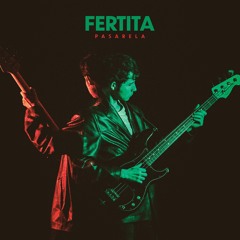 Exclusive Premiere : Fertita "Adult FM" (Stratford CT Records)