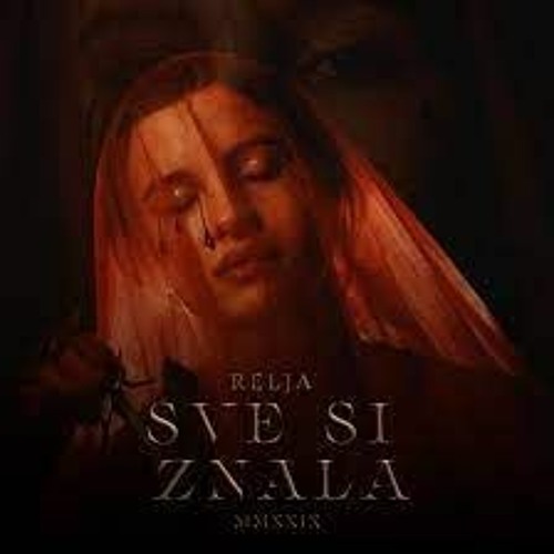 SVE SI ZNALA COVER