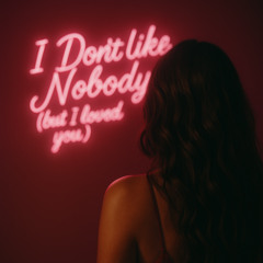 I Don't Like Nobody (but i loved you)