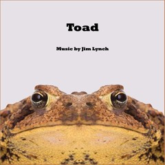 Accidental Sequences