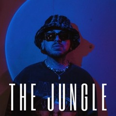 The Jungle Mix Vol I (Tech House Mix)