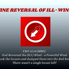 Divine Reversal of Ill-Winds!/Pastor Femi Paul/Testimony & Thanksgiving Service