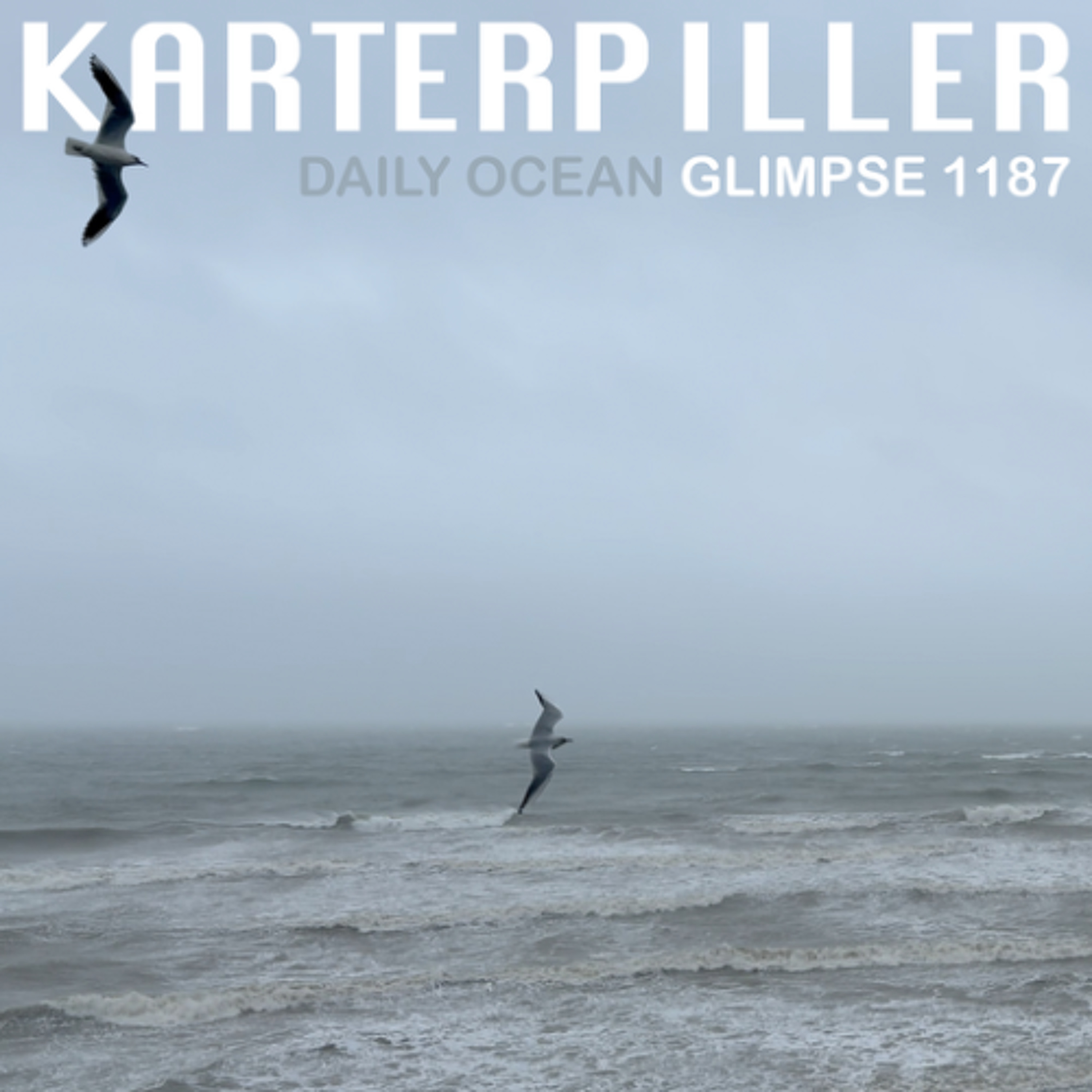 Glimpse 1187 (Dec 31 2024) episode artwork