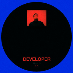 DEVELOPER ARCHIVE 17 // DEVELOPER