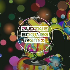 Taylor Swift - You Belong With Me ( Budzkie Bootleg Remix)