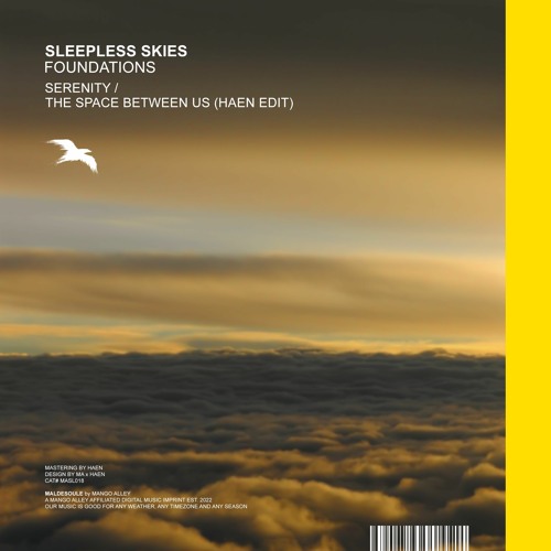 SLEEPLESS SKIES - Foundations