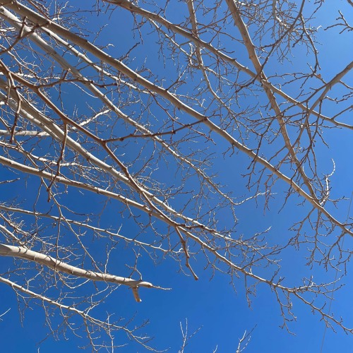 Extra Clip Ft. IJR (Prod. alltrxth & slynina)