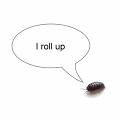 How to make a megalo flp edit cover