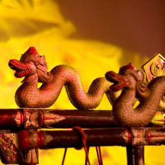 An interview with Katy Haigh