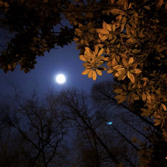 ‎⁨إِنَّ الْمُنَافِقِينَ يُخَادِعُونَ اللَّهَ وَهُوَ خَادِعُهُمْ | علي جابر⁩.